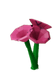 Bee Balm icon
