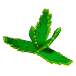 Aloe Vera icon