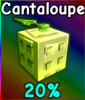Cantaloupe