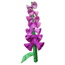 Foxglove